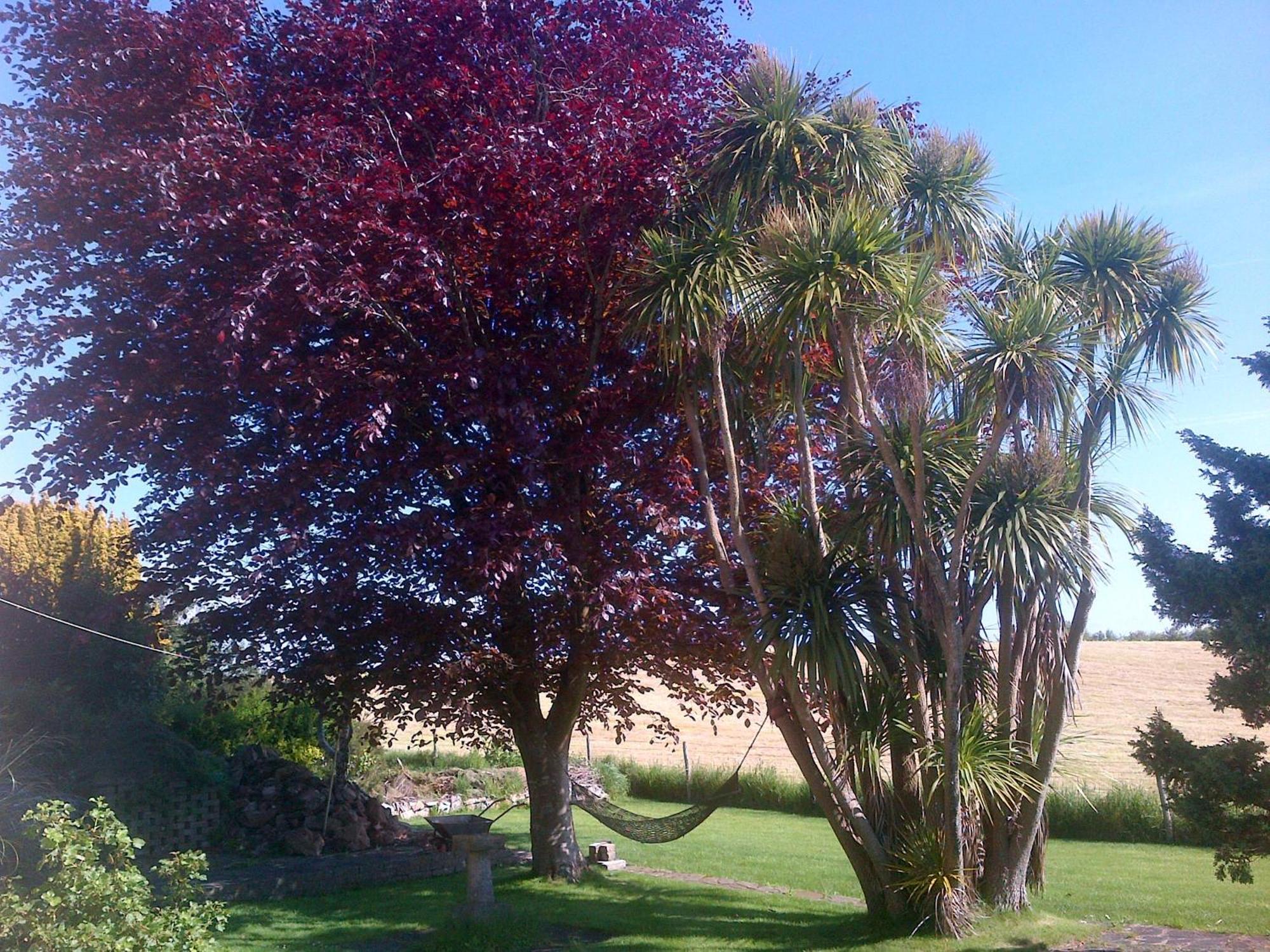 Wychwood House Bed & Breakfast Penally Bagian luar foto